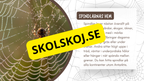 Allt om spindlar - Presentation + frågor