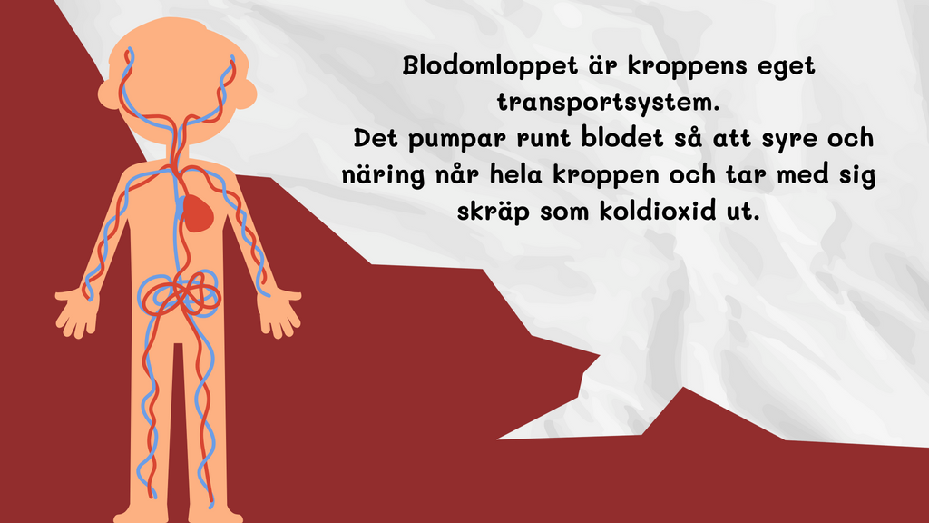 Blodomloppet - Häfte - Årskurs 3 - 4
