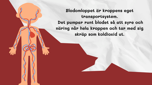 Blodomloppet - Häfte - Årskurs 3 - 4