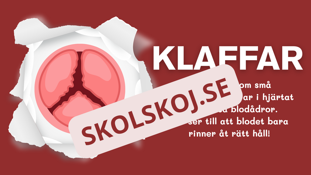 Blodomloppet - Häfte - Årskurs 3 - 4