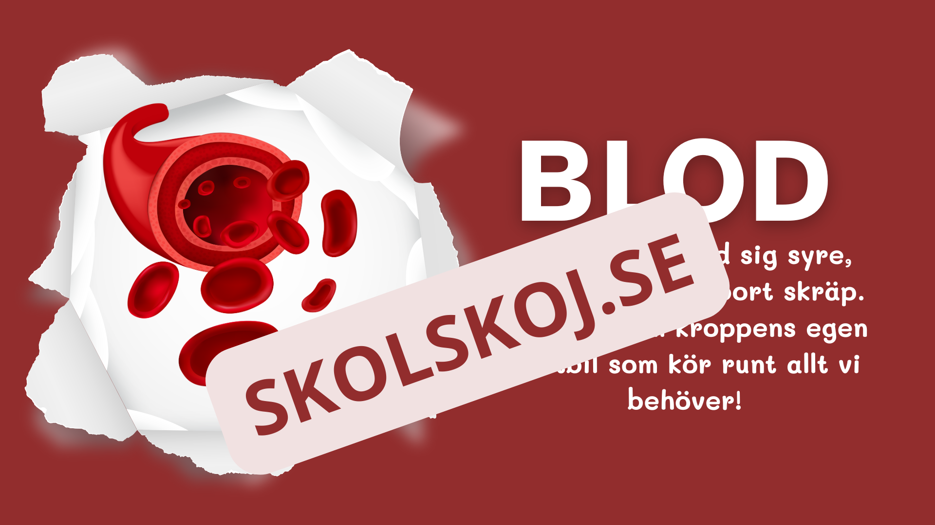 Blodomloppet - Häfte - Årskurs 3 - 4