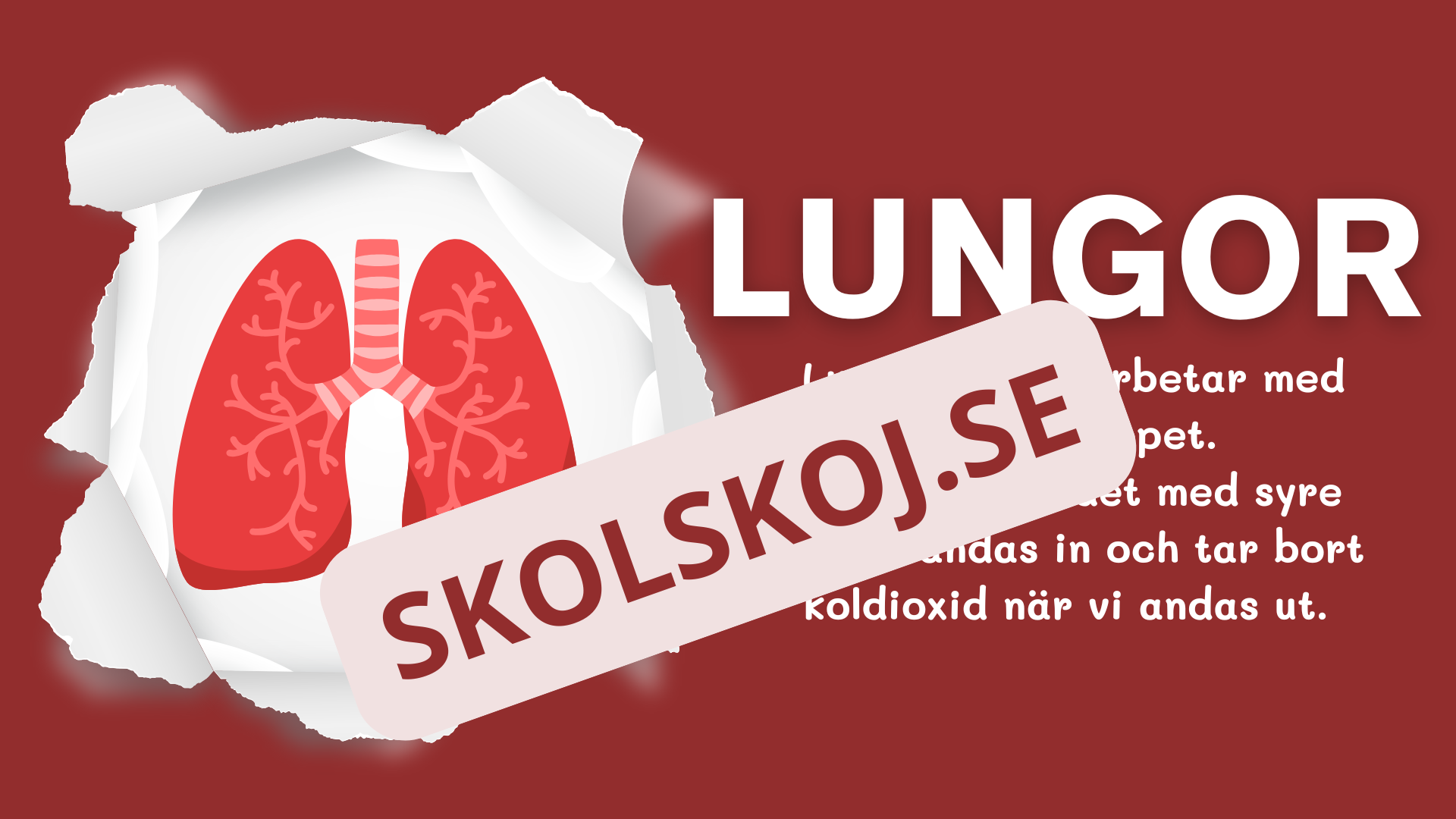 Blodomloppet - Häfte - Årskurs 3 - 4