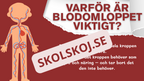 Blodomloppet - Häfte - Årskurs 3 - 4