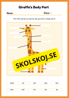 Engelska - Animal Body Parts