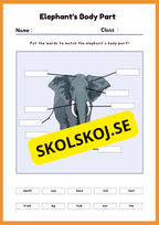 Engelska - Animal Body Parts