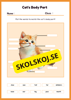 Engelska - Animal Body Parts