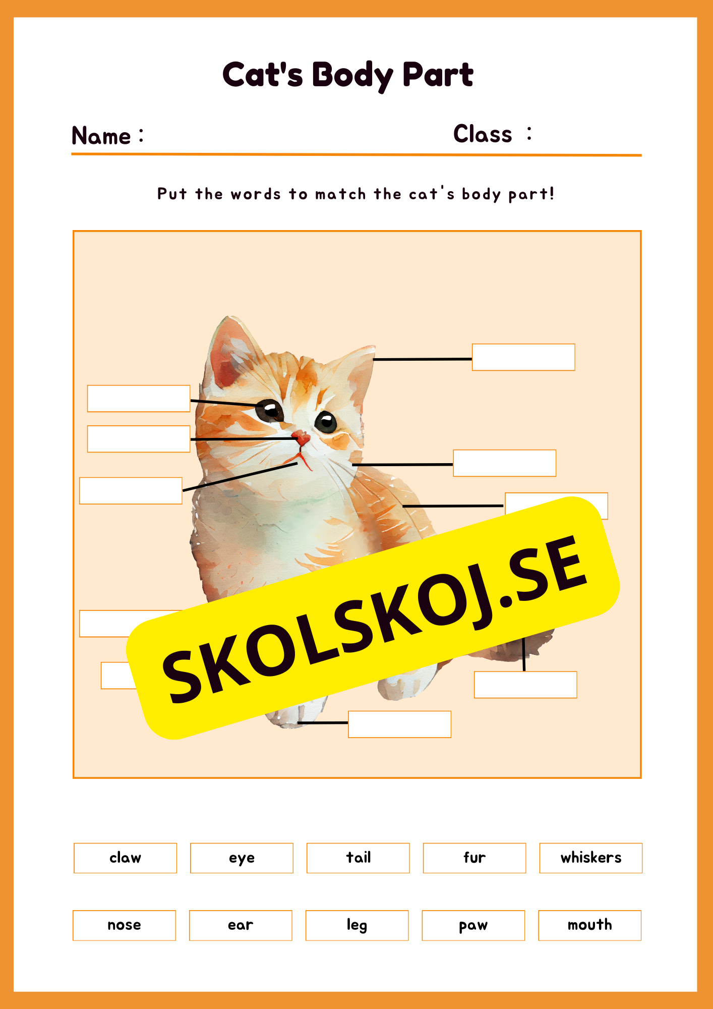Engelska - Animal Body Parts
