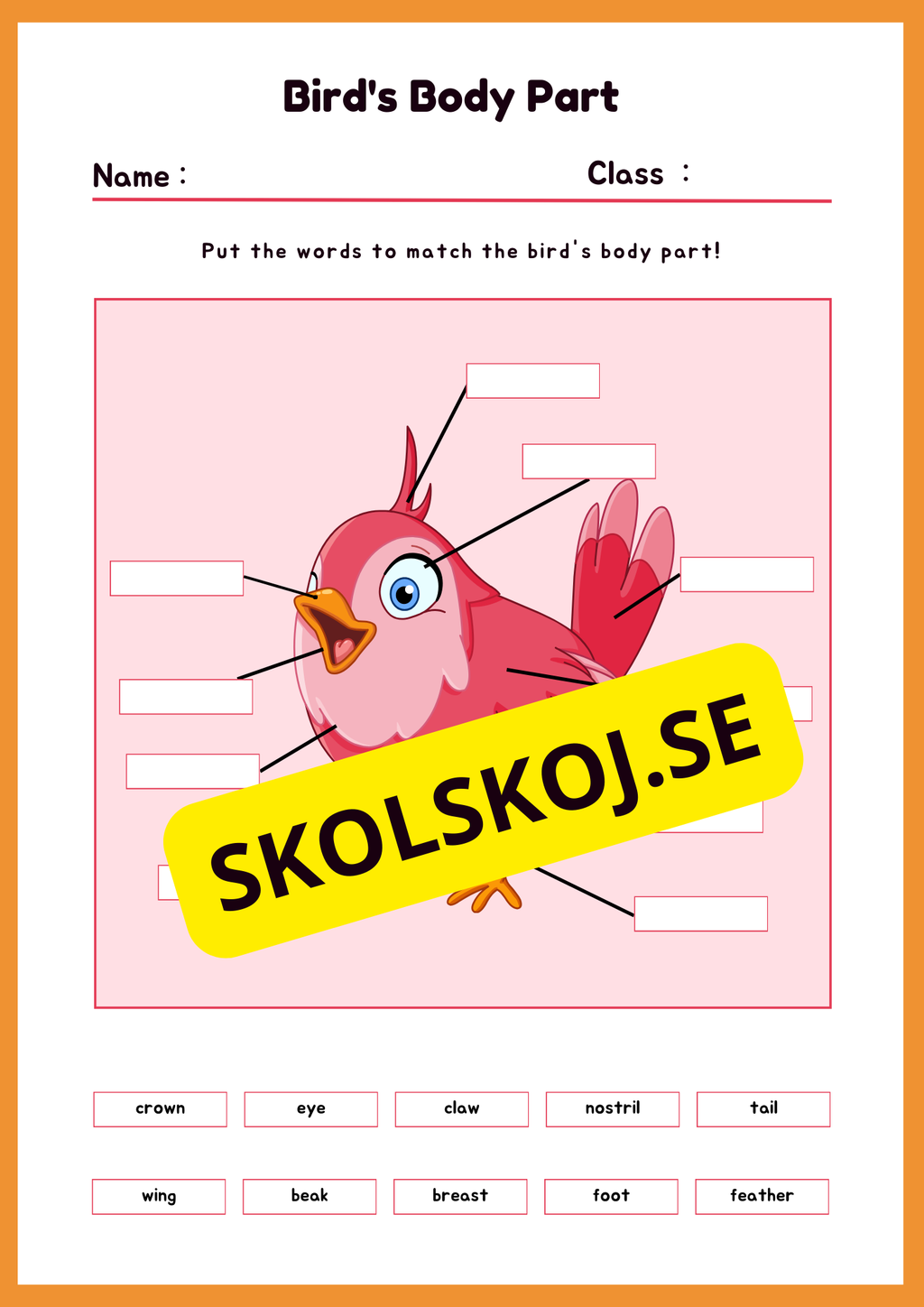 Engelska - Animal Body Parts