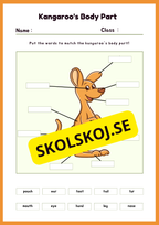 Engelska - Animal Body Parts