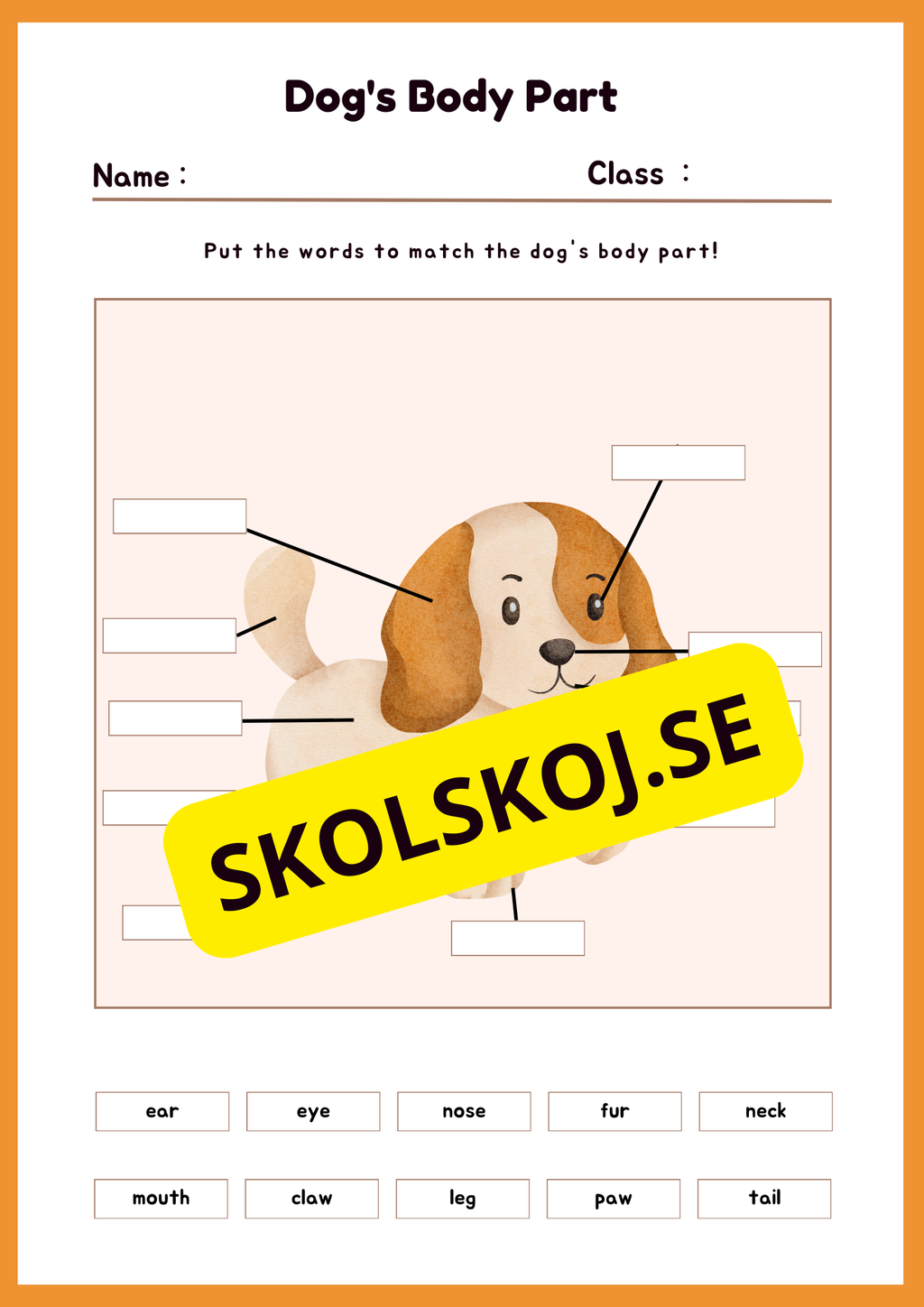 Engelska - Animal Body Parts