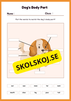 Engelska - Animal Body Parts