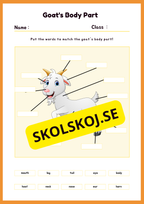 Engelska - Animal Body Parts