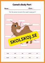 Engelska - Animal Body Parts