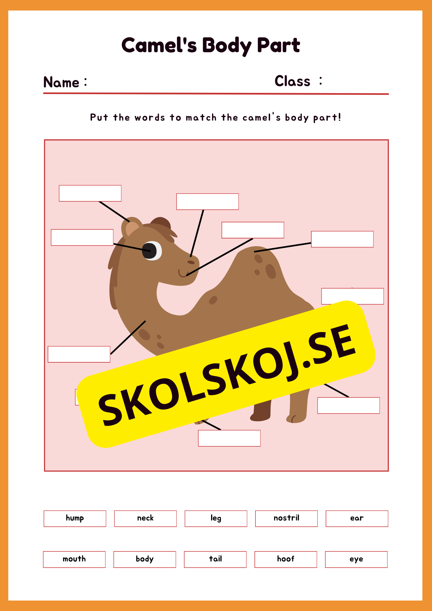Engelska - Animal Body Parts