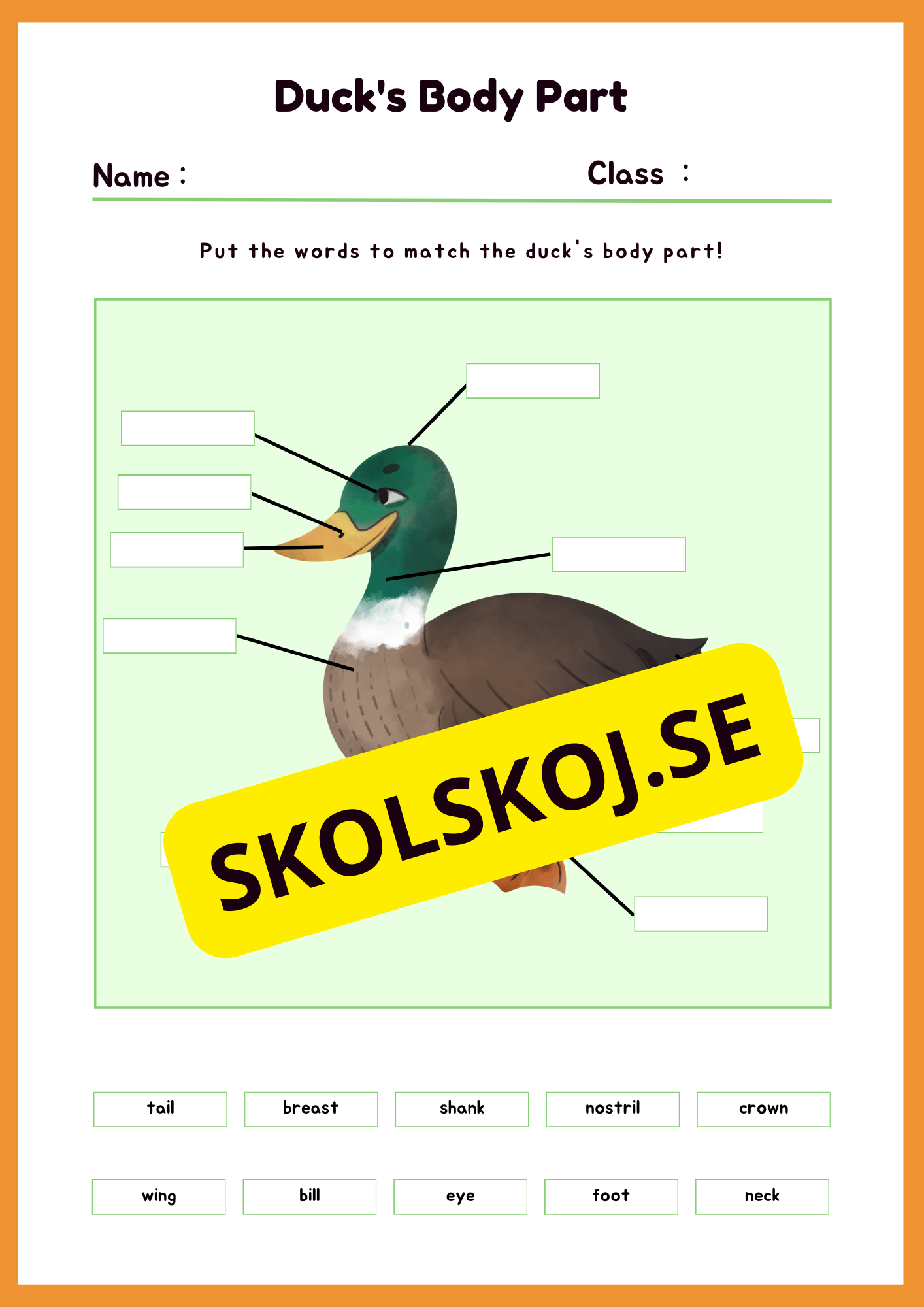 Engelska - Animal Body Parts