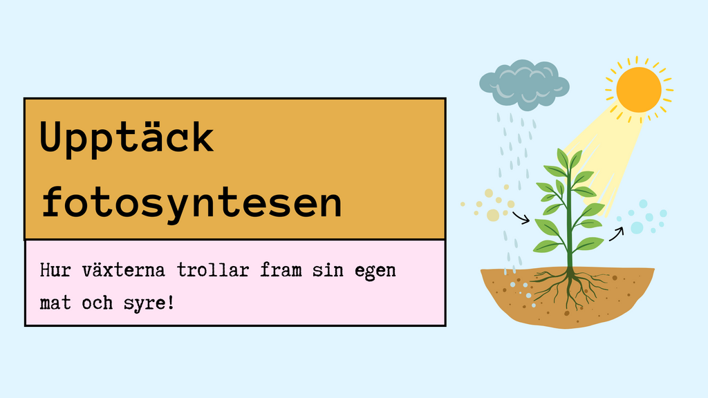 Upptäck fotosyntesen