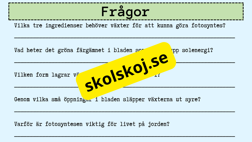 Upptäck fotosyntesen
