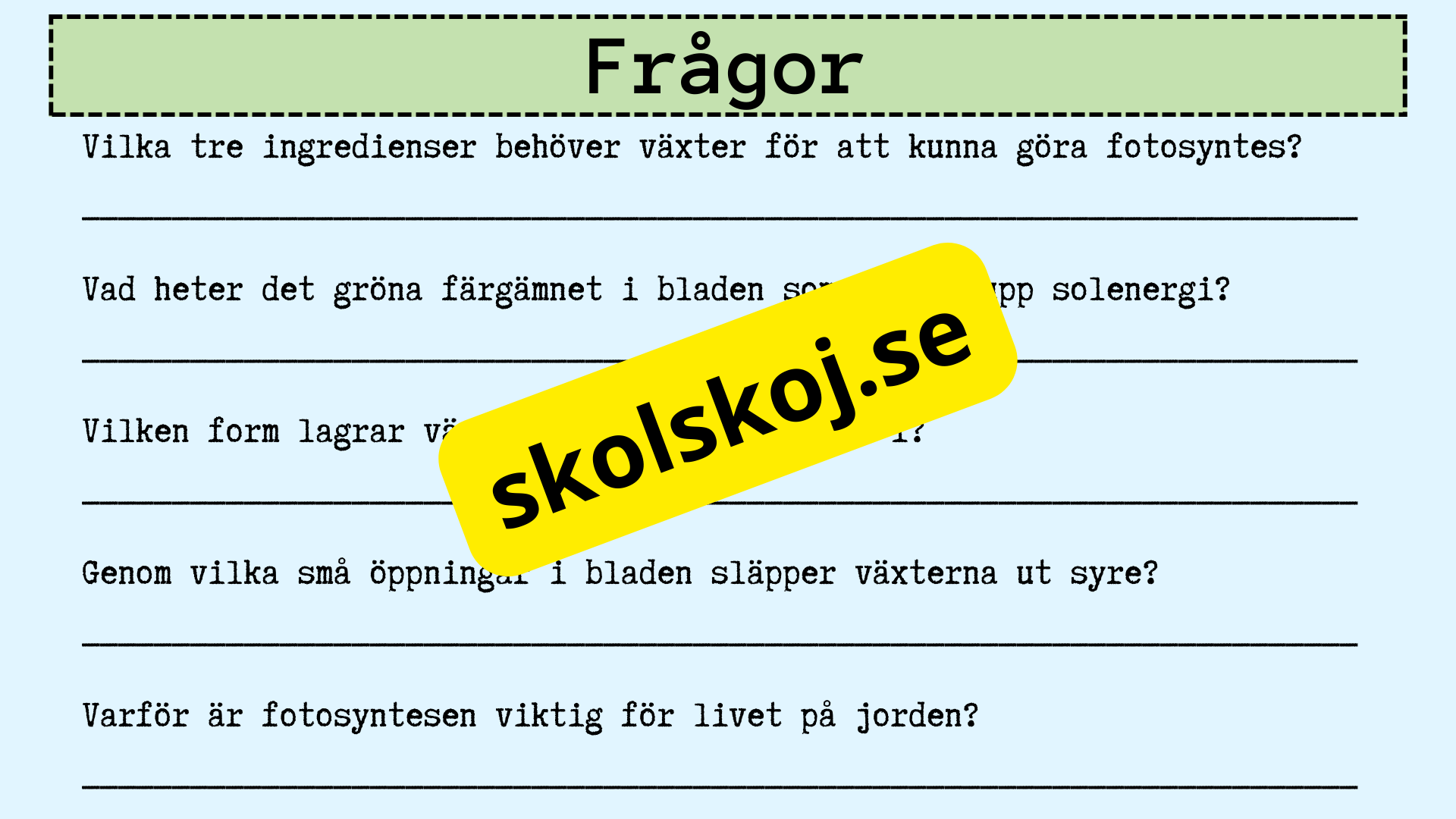 Upptäck fotosyntesen