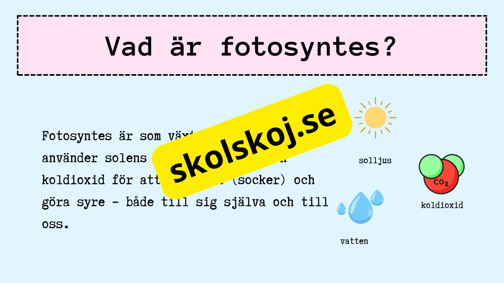Upptäck fotosyntesen