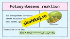 Upptäck fotosyntesen