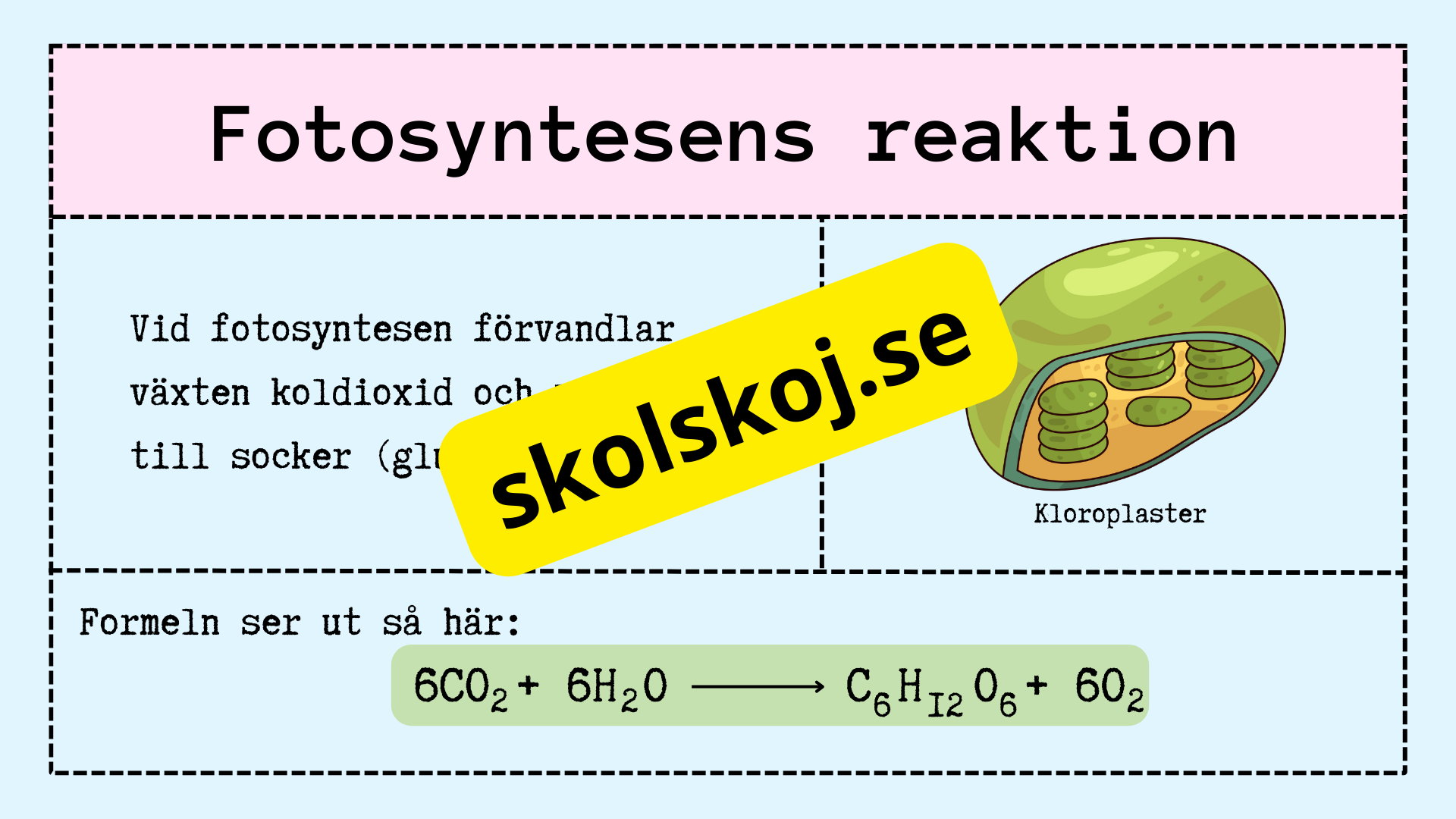 Upptäck fotosyntesen