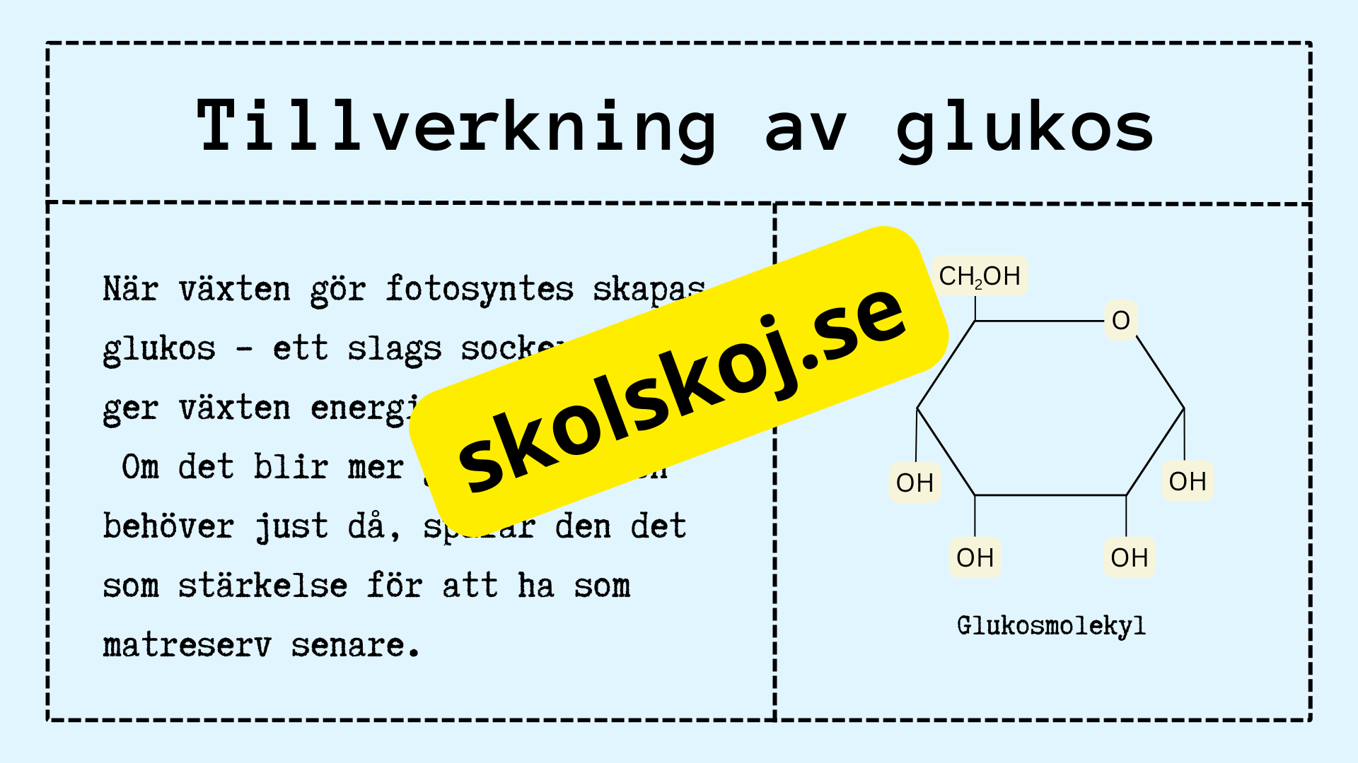 Upptäck fotosyntesen