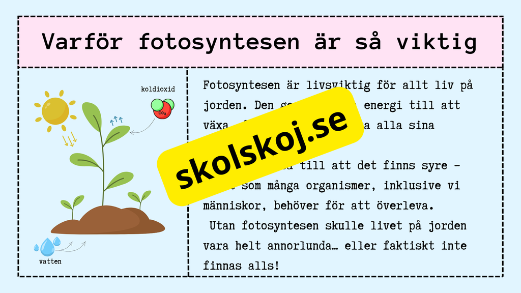 Upptäck fotosyntesen