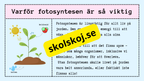 Upptäck fotosyntesen
