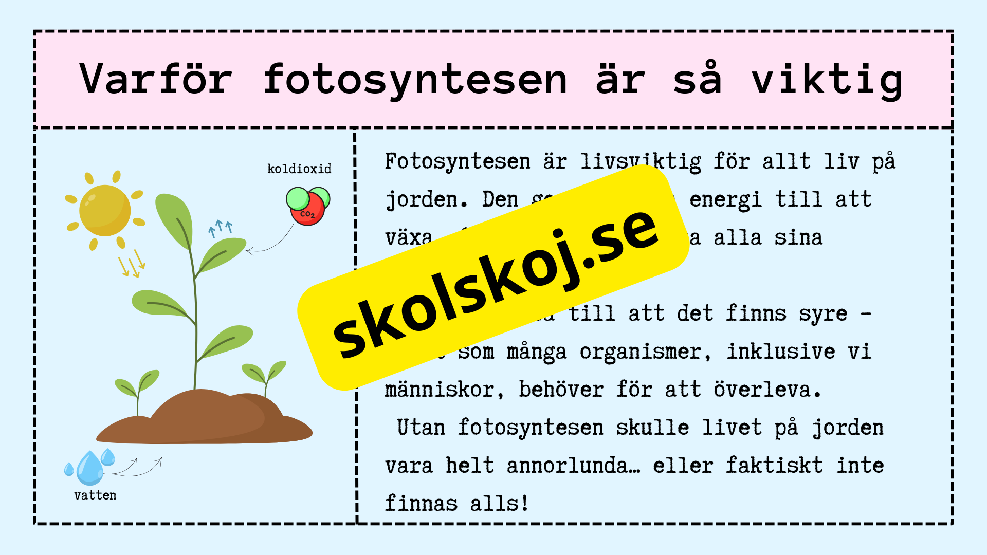 Upptäck fotosyntesen