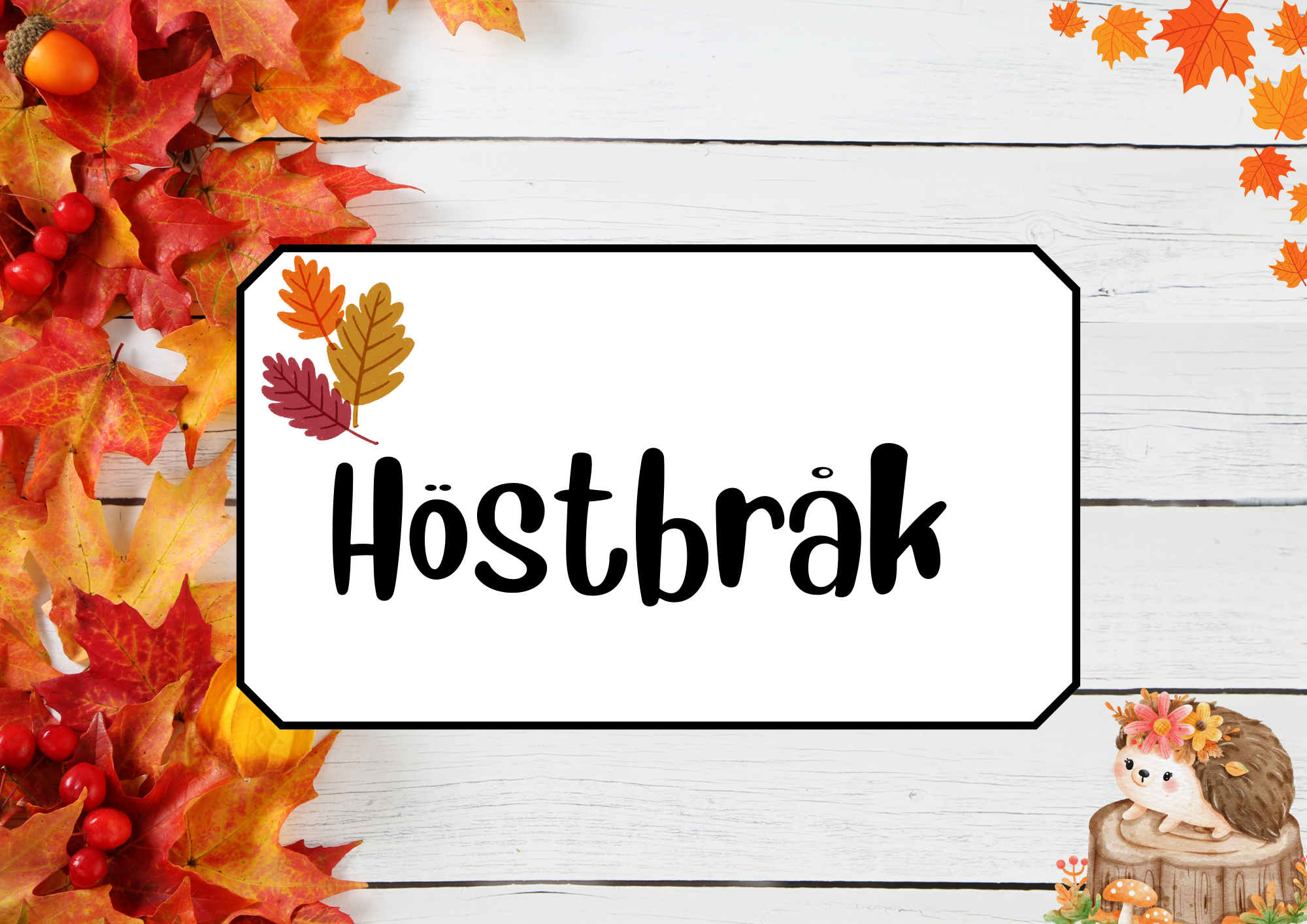 Höstbråk - Häfte + frågor