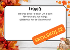 Höstbråk - Häfte + frågor