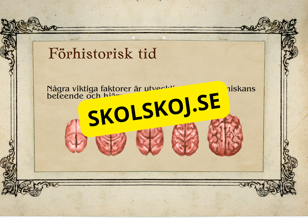 Förhistorisk tid - Fakta och frågor