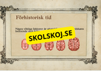 Förhistorisk tid - Fakta och frågor
