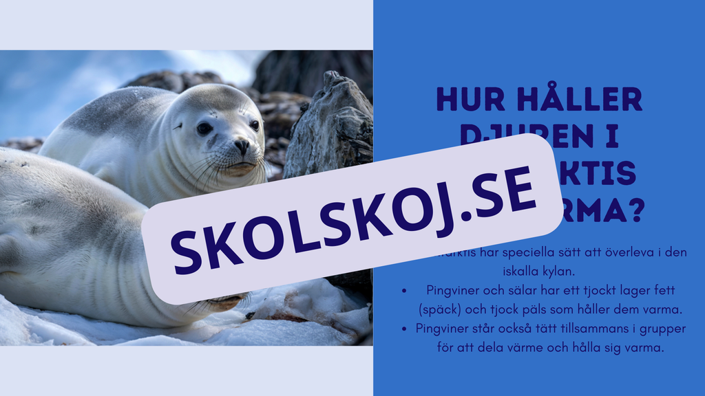 Djur i Antarktis - Presentation - Fakta och arbetsblad