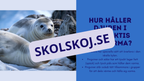 Djur i Antarktis - Presentation - Fakta och arbetsblad