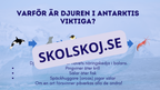 Djur i Antarktis - Presentation - Fakta och arbetsblad