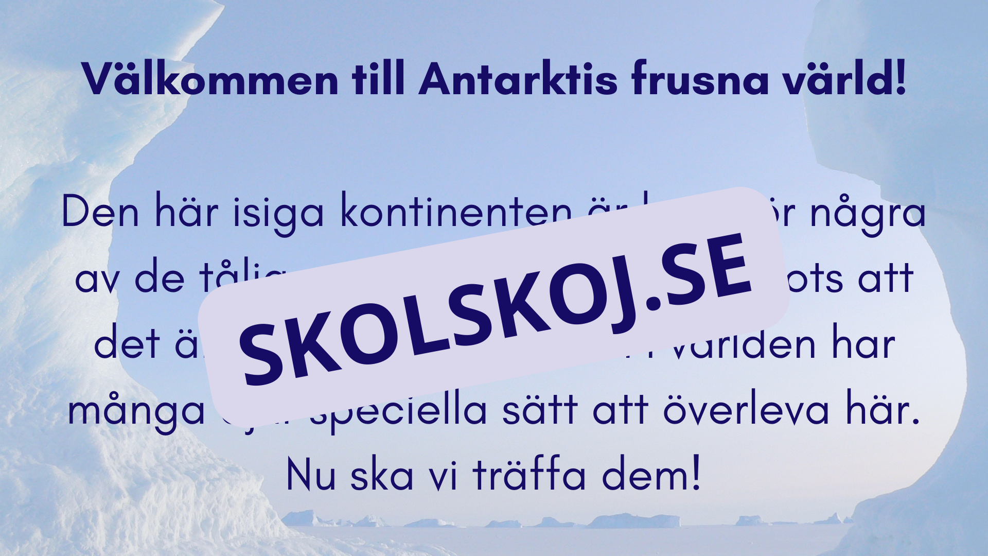 Djur i Antarktis - Presentation - Fakta och arbetsblad