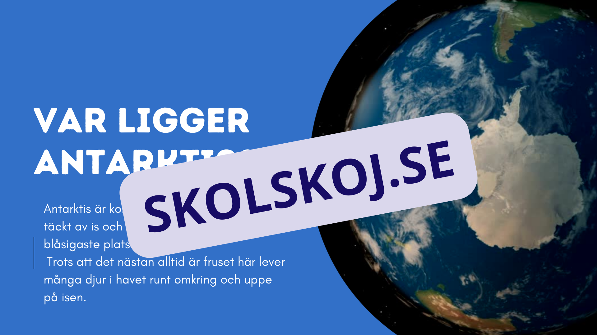 Djur i Antarktis - Presentation - Fakta och arbetsblad