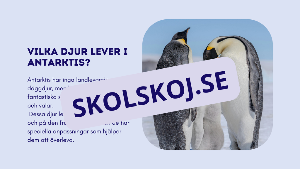 Djur i Antarktis - Presentation - Fakta och arbetsblad
