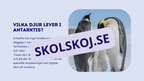 Djur i Antarktis - Presentation - Fakta och arbetsblad