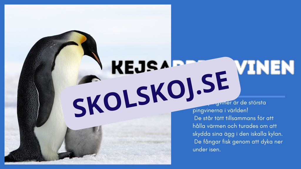 Djur i Antarktis - Presentation - Fakta och arbetsblad