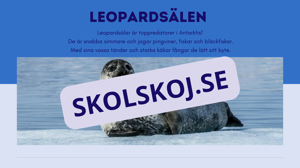 Djur i Antarktis - Presentation - Fakta och arbetsblad