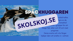 Djur i Antarktis - Presentation - Fakta och arbetsblad