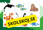 Hjälp djuren hitta sitt hem
