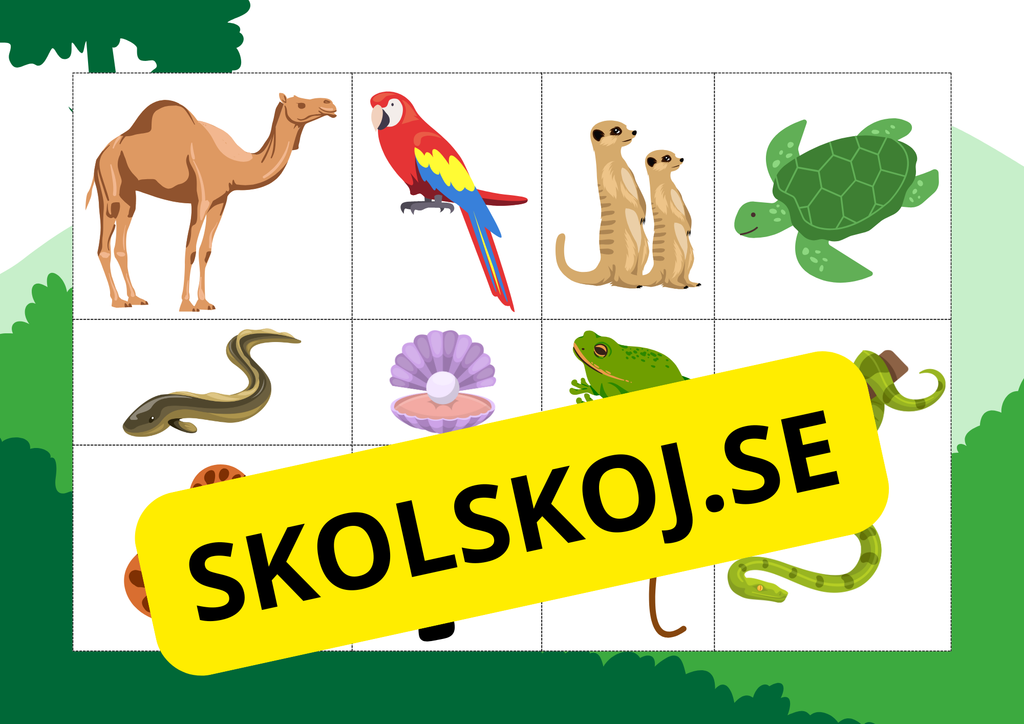 Hjälp djuren hitta sitt hem