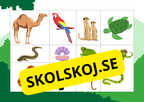 Hjälp djuren hitta sitt hem