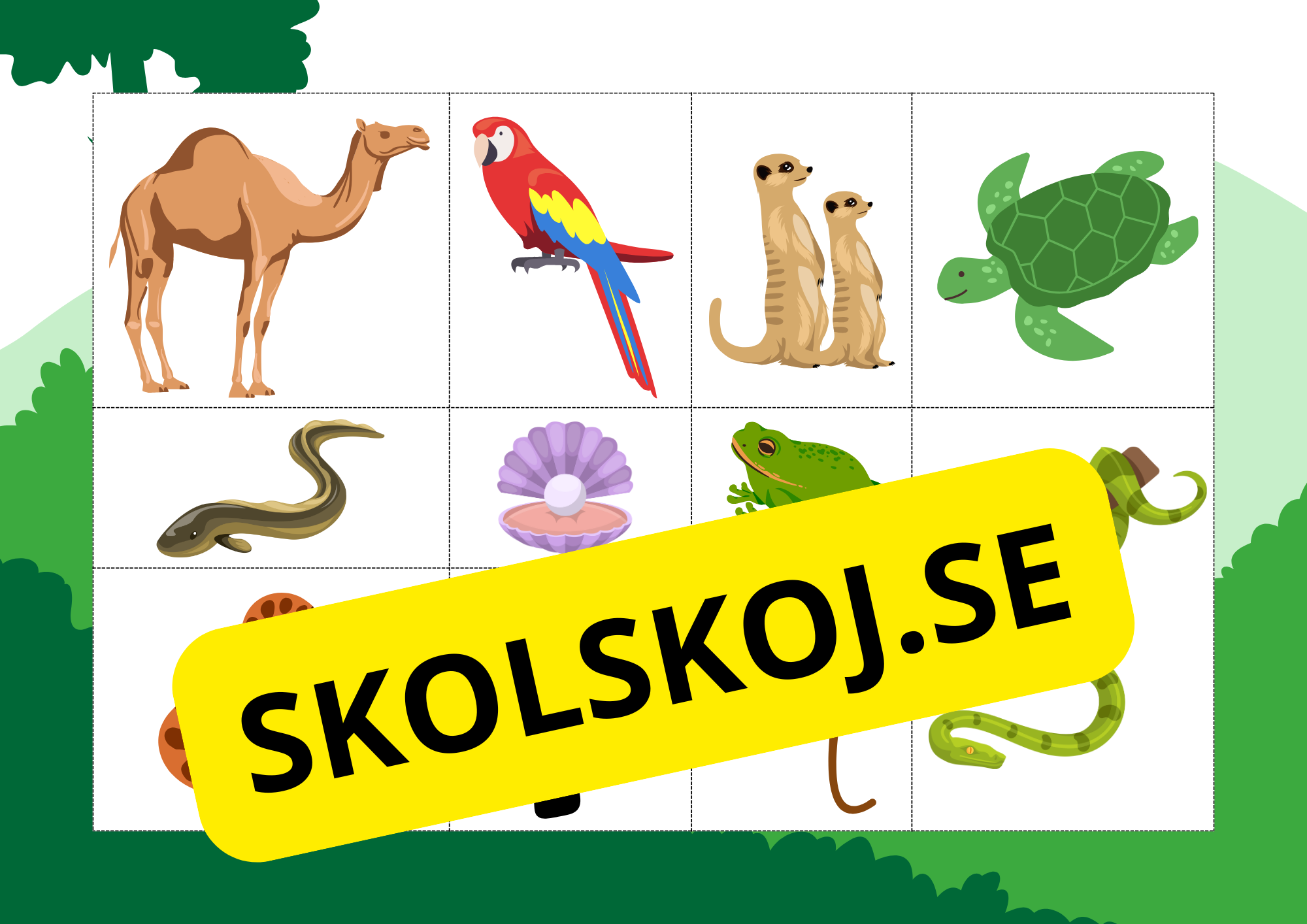 Hjälp djuren hitta sitt hem