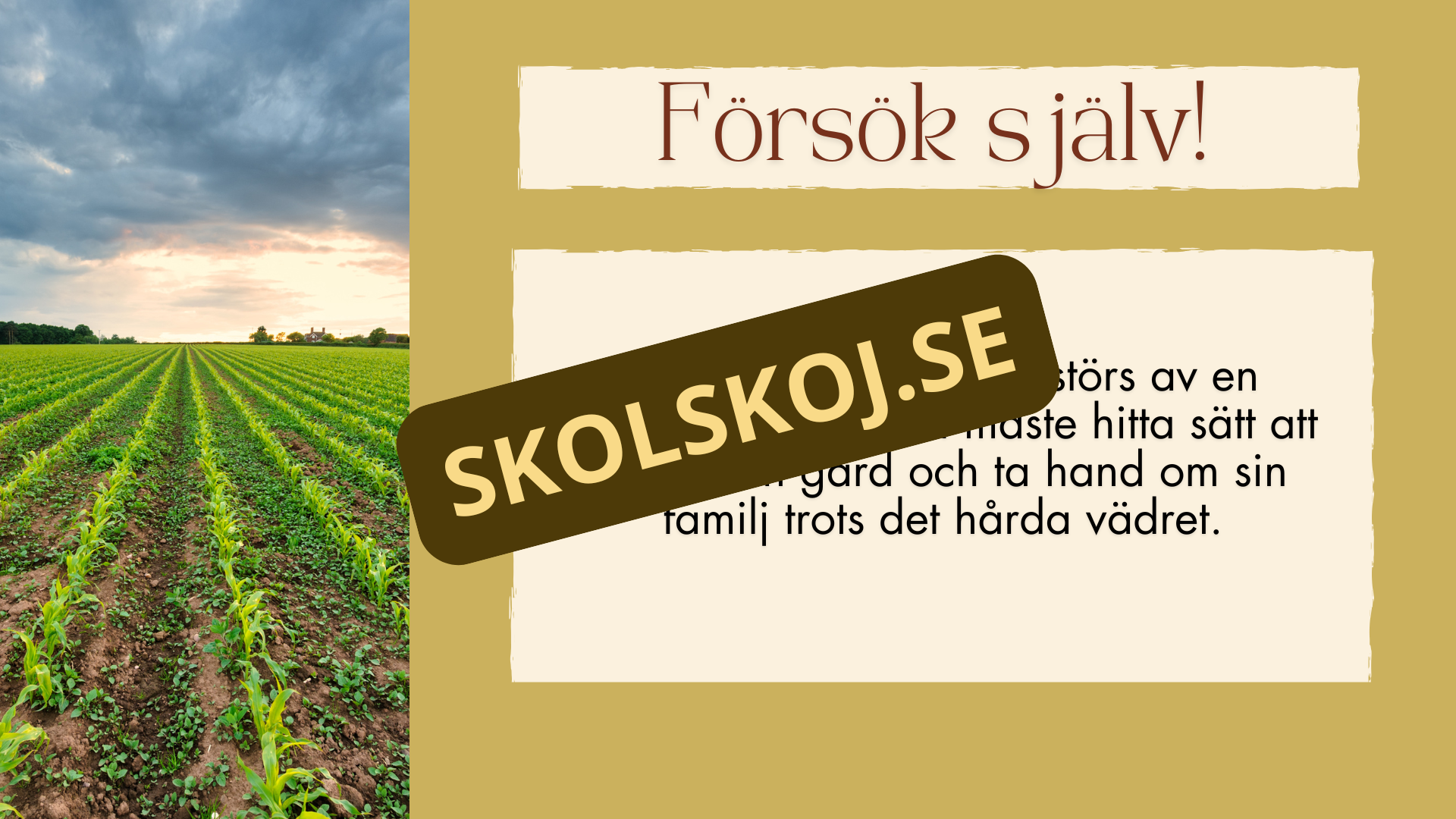 Olika typer av konflikter