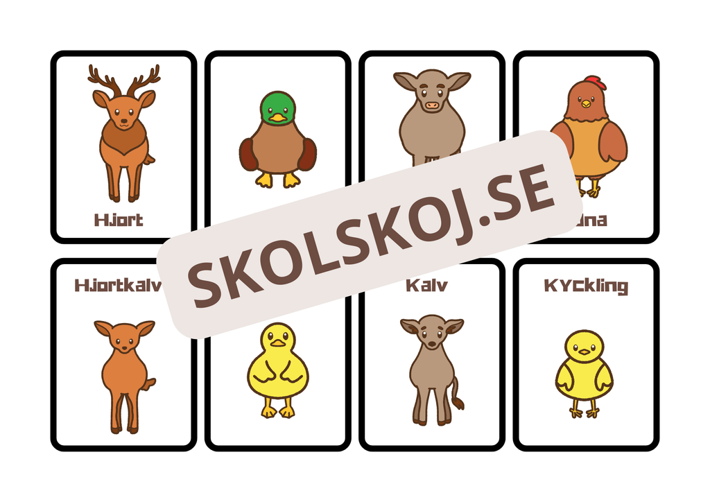 Djur och deras ungar – flashkort