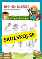 Ord och bildskoj